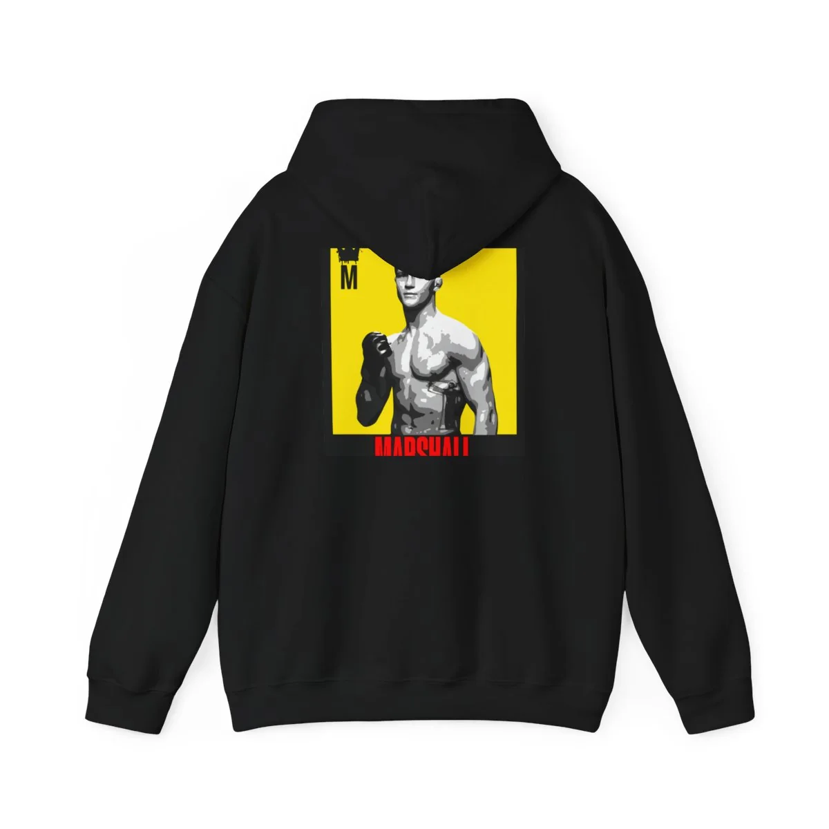 FrancisJay Hoodie in Black, back view