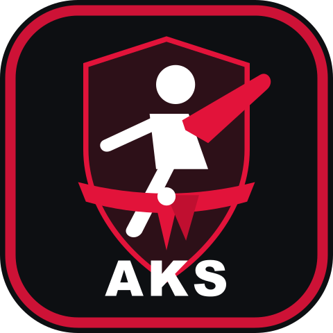 American Karate System official logo