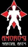 Amorosi Martial Arts official logo