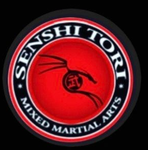 Bayonne Mixed Martial Arts official logo