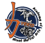 Hybrid Academy of Mixed Martial Arts official logo