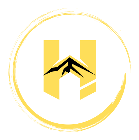 Hybrid Martial Arts official logo