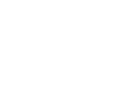 Loftus Jiu Jitsu Academy official logo
