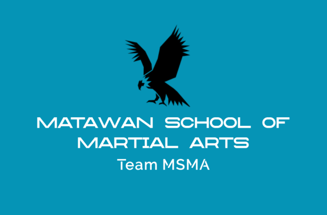 Matawan School of Martial Arts official logo