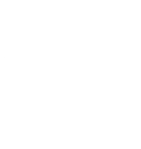 NJ Ronin Jiu Jitsu and Striking Academy official logo