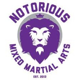 Notorious Mixed Martial Arts official logo