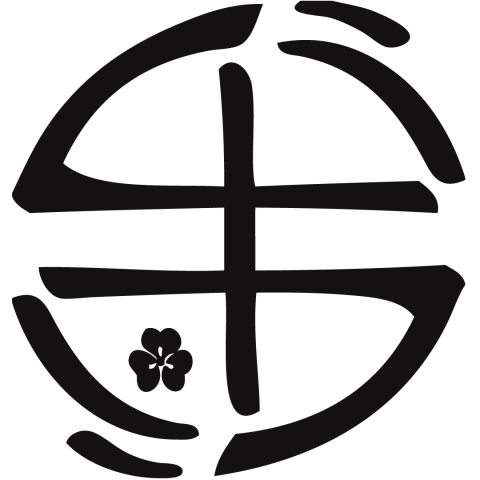 Princeton Brazilian Jiu Jitsu official logo