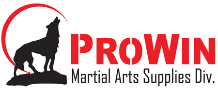 Prowin Corporation official logo