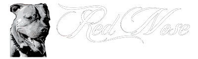 RedNose Wrestling School official logo