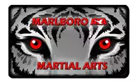 Resilience Martial Arts official logo