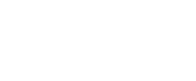 Sheiks Tae Kwon Do official logo