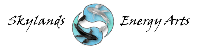 Skylands Energy Arts official logo