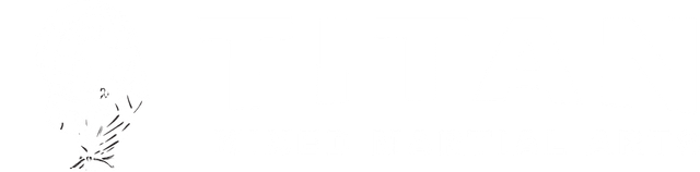 Titan Mixed Martial Arts official logo