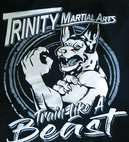 Trinity Martial Arts & Krav Maga official logo