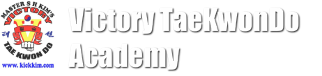 Victory Taekwondo official logo