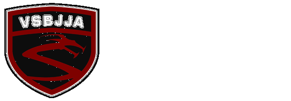 Vitor Shaolin Brazilian Jiu-Jitsu Academy official logo
