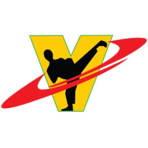 Vizzio's Institute of Martial Arts official logo