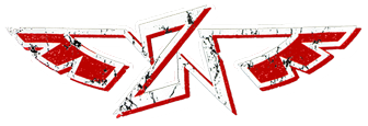Zealous Nation MMA official logo
